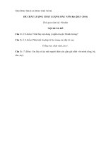 Đề kiểm tra chất lượng đầu năm môn Ngữ văn lớp 6 năm 2013 - 2014 Trường THCS Lương Thế Vinh, Cần Thơ