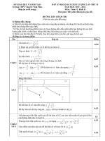 Đáp án khảo sát chất lượng lần thứ 2 môn toán khối D trường THPT Chuyên Vĩnh Phúc năm 2013,2014