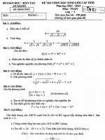 Đề thi học sinh giỏi lớp 9 THCS tỉnh An Giang năm 2012 - 2013 môn toán