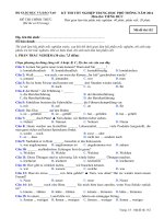 Đề thi tôt nghiệp THPT Tiếng Đức 2014