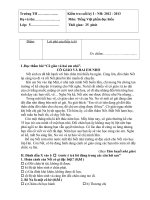 Đề kiểm tra cuối HK I tiếng việt lớp 5