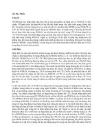 Tiểu luận Orthogonal Frequency Division Multiple Access in WiMAX and LTE A Comparison