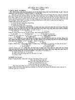 Bộ đề thi học sinh giỏi Tiếng Việt lớp 5_3