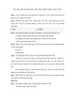 Bộ đề thi học sinh giỏi Tiếng Việt lớp 5_4