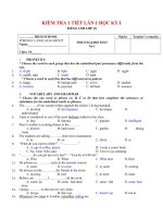 KIỂM TRA 1 TIẾT  MÔN ANH 10 LẦN 1 HỌC KỲ 1