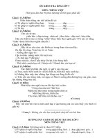 Bộ đề thi học sinh giỏi Tiếng Việt lớp 5_2