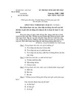 Bộ đề thi học sinh giỏi Tiếng Việt lớp 5_5