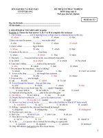 ĐỀ thi HKII tiếng Anh lớp 11 (With key)