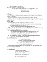 Đề thi HỌC SINH GIỎI -Lớp 5 (Tiếng Việt + Toán)