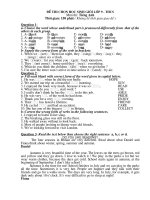 Đề chọn học sinh giỏi môn tiếng anh lớp 9