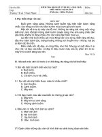 Đề TIẾNG VIỆT 3 cuối HK1 (12-13)  có HDC