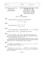 Đề thi học sinh giỏi bậc THPT tỉnh Ninh Thuận năm 2014 - 2015_MÔN TOÁN