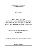 Hoàn thiện tổ chức lực lượng bán bảo hiểm tại công ty TNHH MTV đại lý bảo hiểm prudential tại gia lai