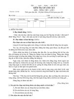 Kiểm tra Giữa HKI - TIẾNG VIỆT 5