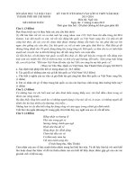 Đề thi tuyển sinh vào lớp 10 môn Ngữ văn năm học 2015-2016 Sở GD-ĐT TP Hồ Chí Minh