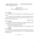 đề thi học sinh giỏi lớp 6 môn văn 10