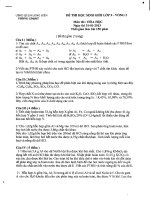 Đề thi Học sinh giỏi lớp 9 cấp Quận Long Biên năm học 2012 - 2013 môn hóa