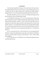 Nghiên cứu bộ khuếch đại quang EDFA