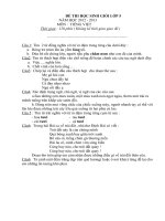 Đề thi học sinh giỏi Tiếng Việt Lớp 5