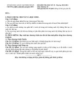 Đề kiểm tra HK2 sinh 10