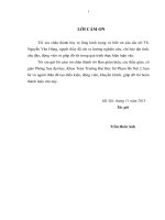 Ứng dụng phương trình vi phân giải bài toán kinh tế