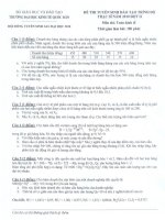 Đề thi cao học trường Đại học Kinh tế Quốc Dân năm 2010 - Môn Toán kinh tế