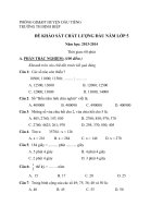 Đề thi khảo sát chất lượng đầu năm lớp 5 môn Toán năm 2013 - 2014 trường Tiểu học Định Hiệp, Bình Dương