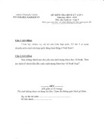 Đề kiểm tra định kỳ lần 1 môn lịch sử lớp 9 năm 2015