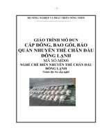Giáo trình Cấp đông, bao gói, bảo quản nhuyễn thể chân đầu đông lạnh - MĐ06- Chế biến nhuyễn thể chân đầu đông lạnh
