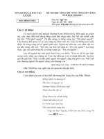 Đề thi học sinh giỏi tỉnh Cà Mau lớp 9 năm 2011 môn Ngữ văn