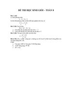 Đề thi học sinh giỏi toán lớp 8 sư tầm tham khảo bổi dưỡng học sinh (17)