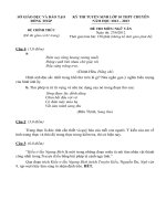 Đề thi tuyển sinh lớp 10 THPT Chuyên tỉnh Đồng Tháp - Môn Văn (năm học 2012 - 2013)