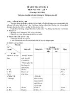 Đề kiểm tra giữa học kỳ II Ngữ văn lớp 9