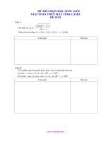 ĐỀ THI THỬ HSG MÁY TÍNH CASIO ĐỀ 8