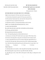 Đề thi thử THPT Quốc gia năm 2015 môn Sinh học trường THPT Phan Bội Châu, Quảng Nam (Số 2)