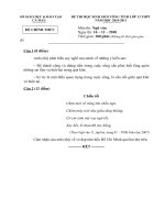 Đề thi học sinh giỏi tỉnh Cà Mau lớp 12 năm 2011 môn Ngữ văn