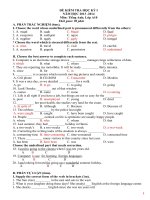 ĐỀ thi HKI tiếng Anh lớp 10