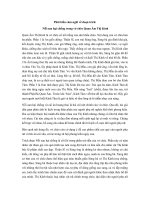 Phân tích đoạn trích Nỗi oan hại chồng trong vở chèo Quan âm Thị Kính