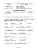 Đề thi học sinh giỏi tỉnh Cà Mau lớp 9 năm 2009 môn Tiếng Anh
