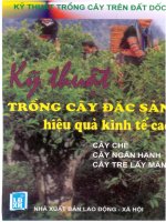 Ebook Kỹ thuật trồng cây trên đất dốc- Kỹ thuật trồng cây đặc sản hiệu quả kinh tế cao  - NXB Lao động Xã hội