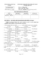 Đề thi học sinh giỏi tỉnh Cà Mau lớp 9 năm 2010 môn Tiếng Anh.DOC