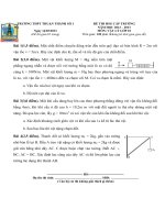Đề thi học sinh giỏi lớp 10 THPT Thuận Thành số 1 tỉnh Bắc Ninh năm 2013 môn vật lý
