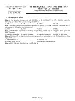 Đề thi Học kỳ I lớp 10 THPT tỉnh Đồng Nai năm 2012 - 2013_VẬT LÝ