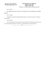 Đề thi khảo sát lớp 10 trường THPT Yên Lạc tỉnh Vĩnh Phúc môn Ngữ văn