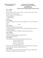 Đề thi vào lớp 6 môn Tiếng Việt trường THCS Đoàn Thị Điểm, Hưng Yên năm học 2010-2011