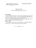 đề thi học sinh giỏi lớp 6 môn văn 12