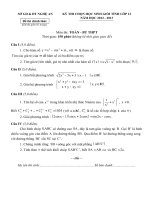 Đề thi học sinh giỏi tỉnh Nghệ An năm 2012 - 2013 môn Toán lớp 12 Bổ túc THPT (Có đáp án)