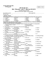 Đề thi Học kỳ I lớp 11 THPT tỉnh Đồng Nai năm 2012 - 2013 môn anh