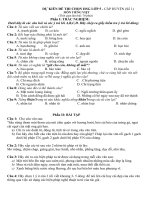 Đề thi HSG môn Tiếng Việt lớp 5 cấp huyện_1