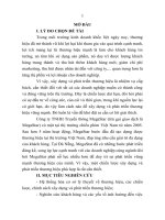 Phát triển thương hiệu công ty TNHH truyền thông MEGASTAR   chi nhánh đà nẵng (MEGASTAR CINEPLEX DANANG)